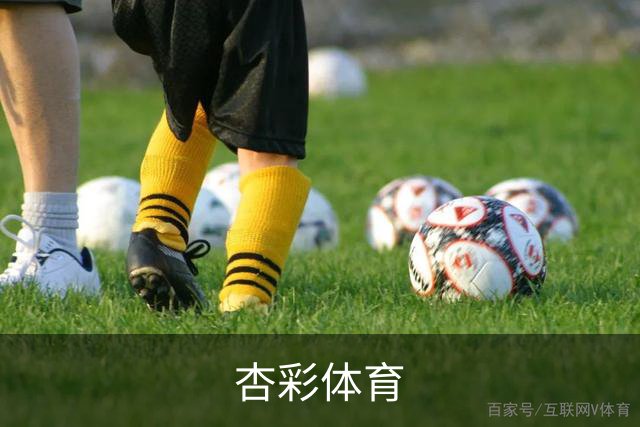 杏彩体育企业简介
